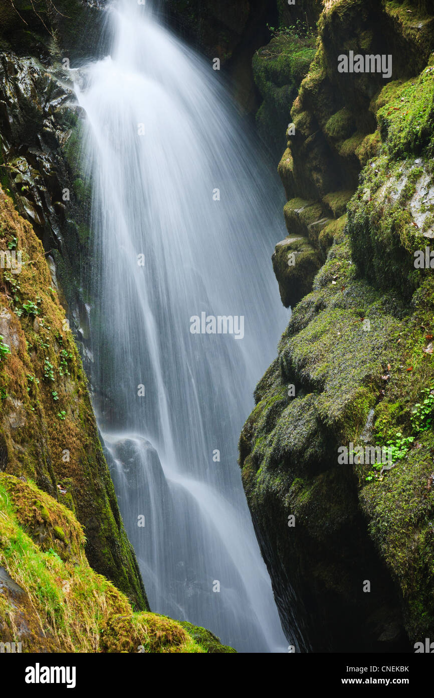 Aira Force cascata, Cumbria Foto Stock