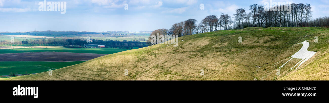 Cherhill White Horse - Wiltshire, Inghilterra Foto Stock