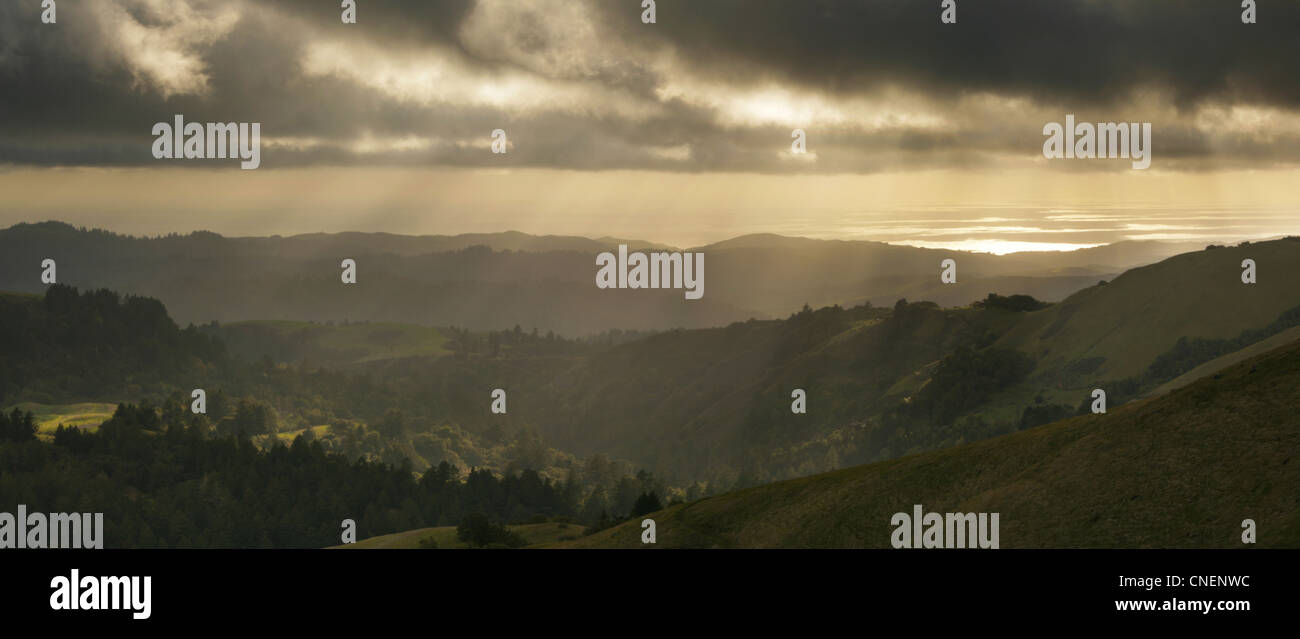 Bellissimo paesaggio della California al tramonto nelle montagne di Santa Cruz Foto Stock