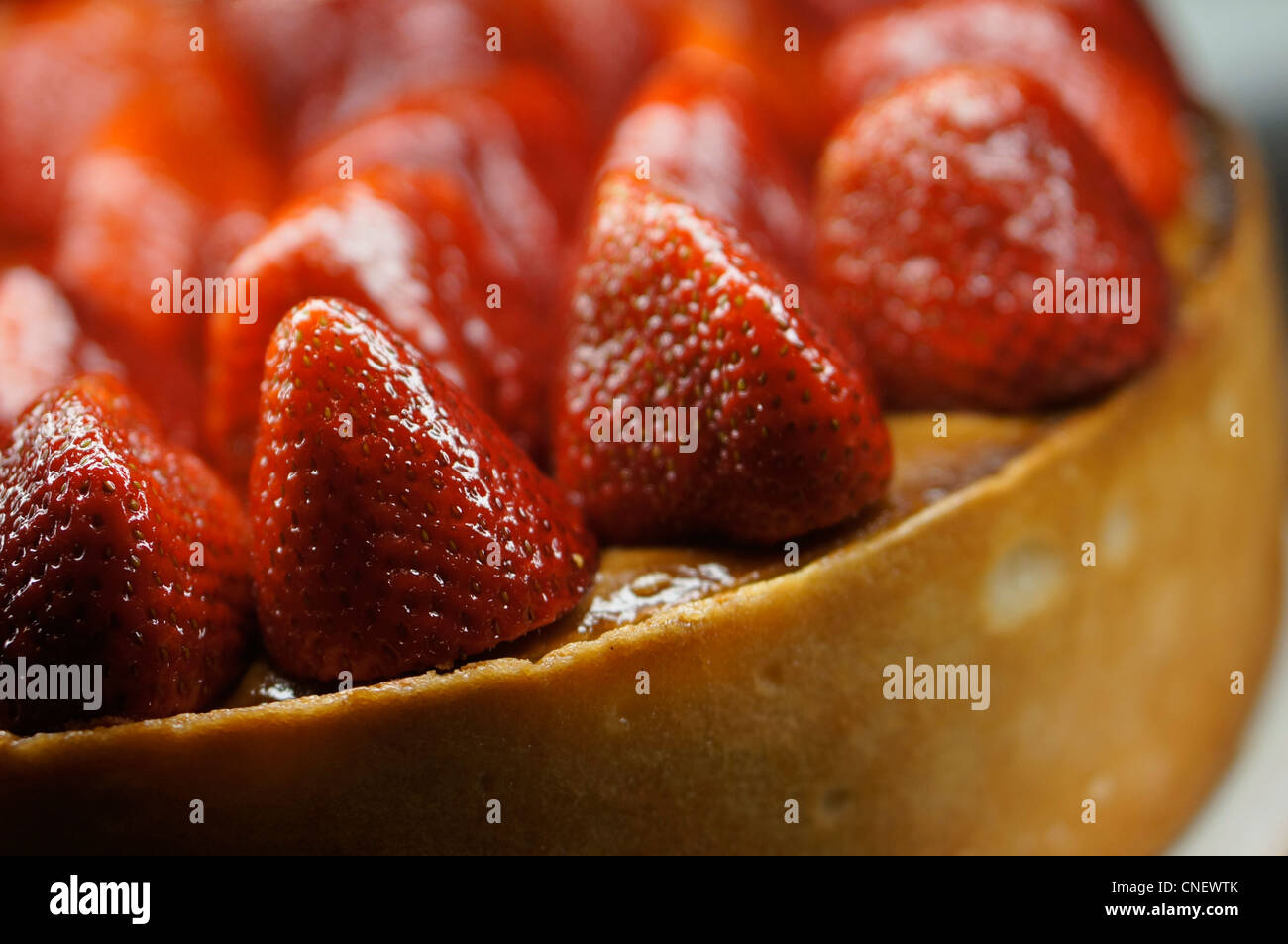Strawberry Cheesecake, torta con fragole intere Foto Stock