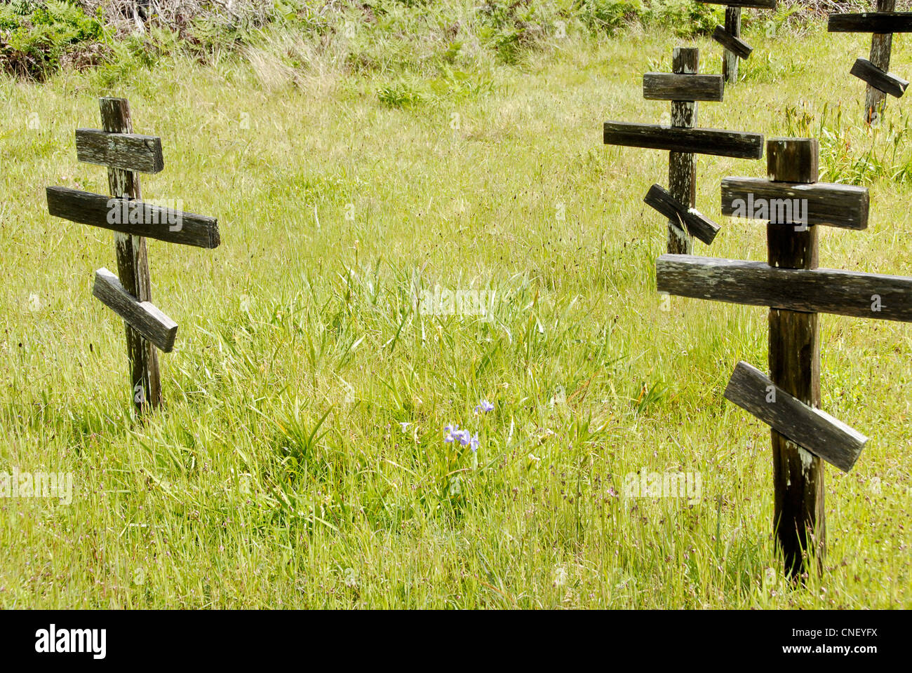 Cimitero di coloni russi a Fort Ross, Sonoma County, California, Stati Uniti d'America Foto Stock