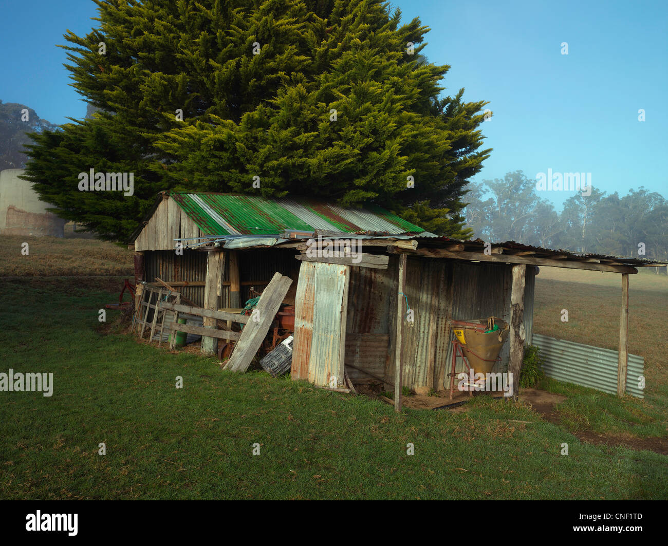 Capannone rustico in una fattoria vicino a Tilba, NSW Australia Foto Stock