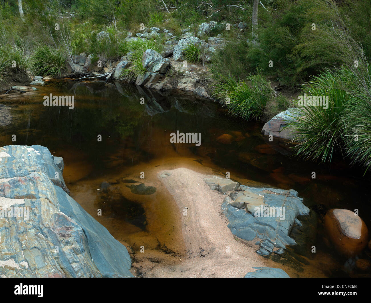 Billabong, Wadbilliga National Park, NSW Australia Foto Stock