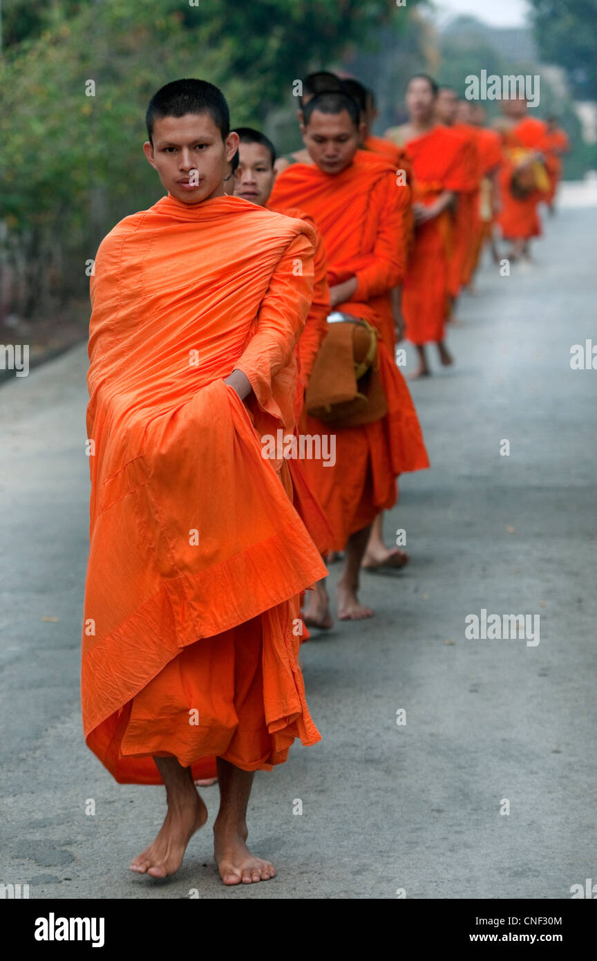 Monaci scalzi a piedi in processione che indossano abiti dello zafferano durante la mattina alms dando a Luang Prabang, Laos Foto Stock