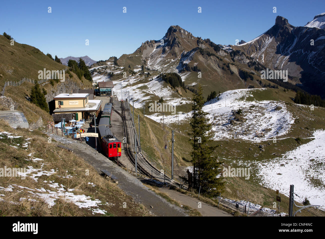 Schynige piastra, Oberland bernese Alpi, Svizzera Foto Stock