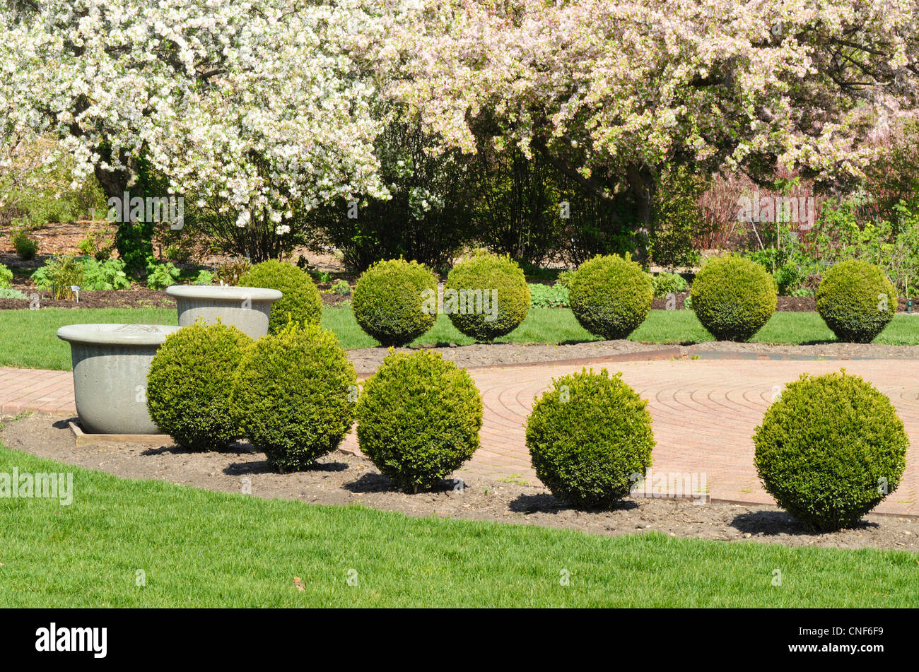 Arco di arbusti di circolare nel giardino botanico Foto Stock