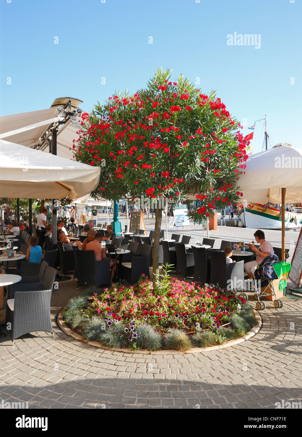 Mali Losinj cafe bar Foto Stock