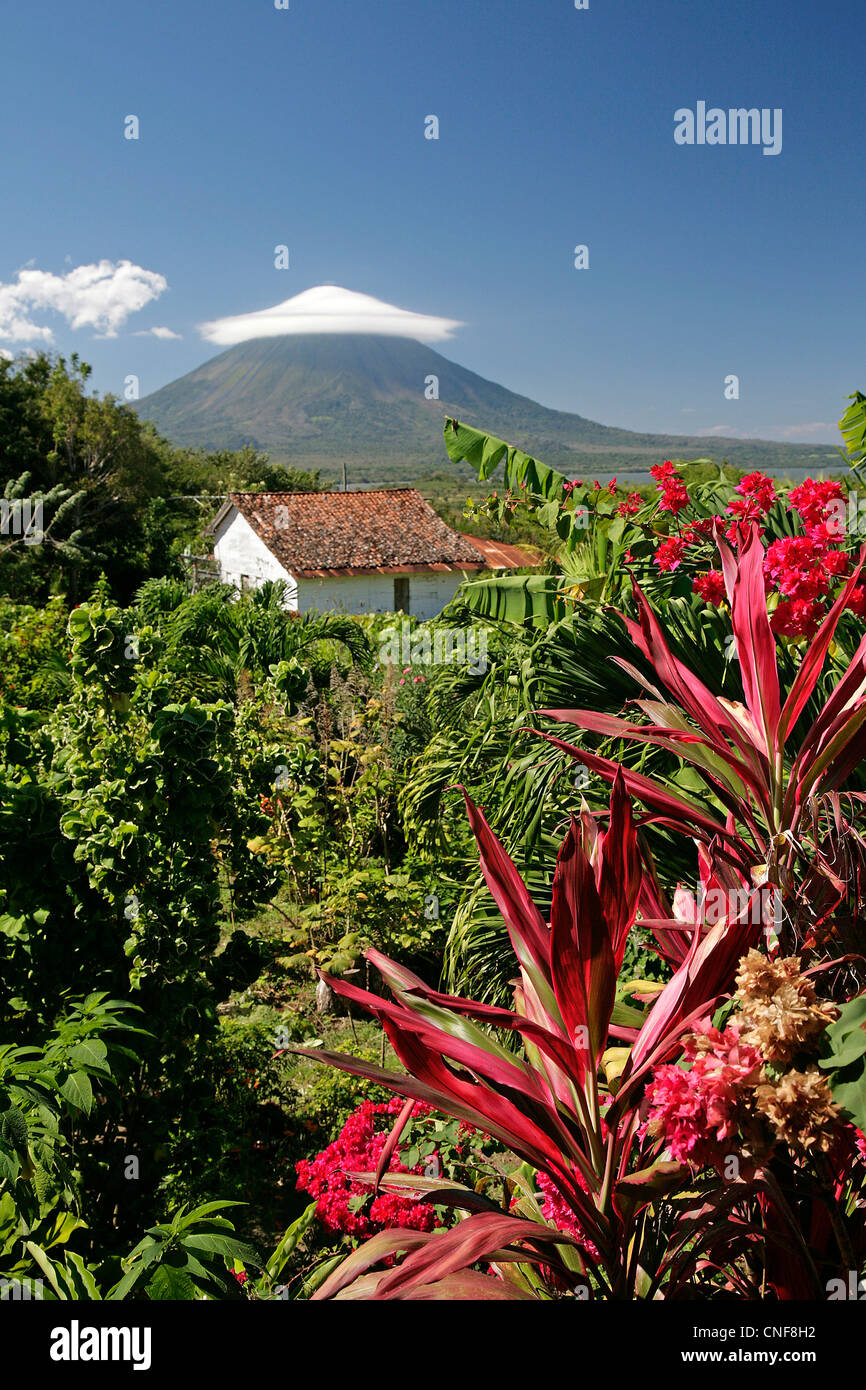 Nicaragua Isla Ometepe sul Lago di Nicaragua magnifica vista sul Vulcano Concepciòn dal lussureggiante giardino all azienda di caffè Finca Magdalena sun Foto Stock