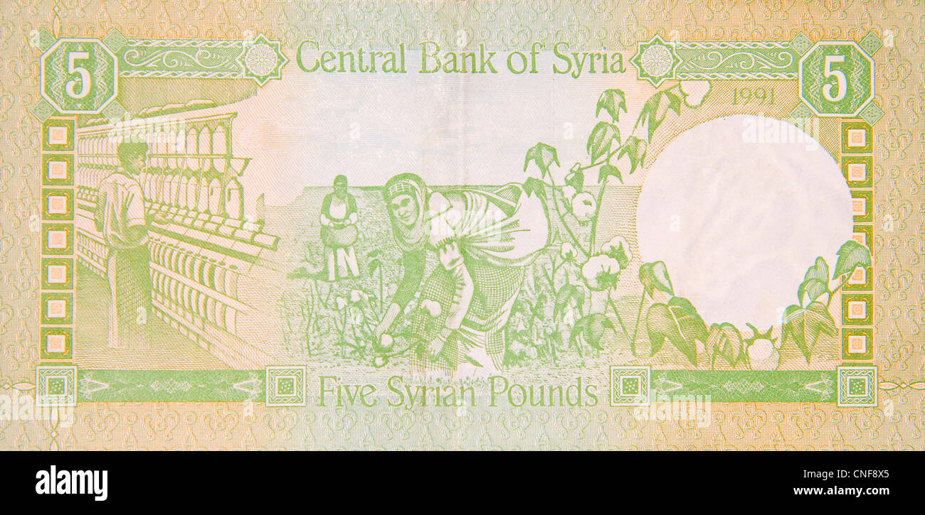 La siria banconota 5 cinque libbre di siriano Foto Stock