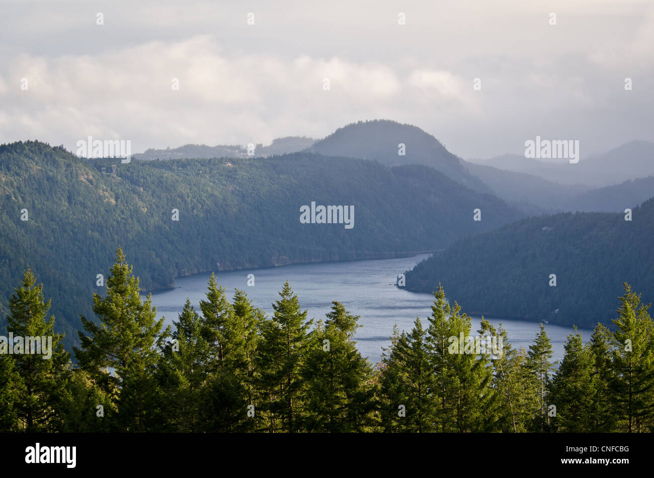 Vista dall'autostrada Malahat, Isola di Vancouver, British Columbia, Canada Foto Stock