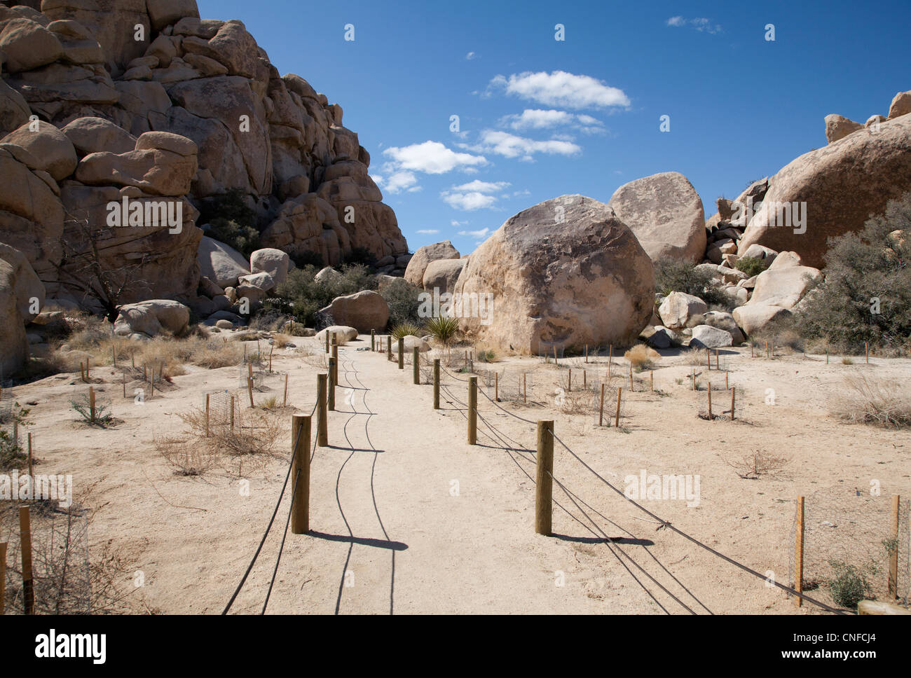 Marzo, 2012. Giornata di Primavera a Joshua Tree National Park, camminando la Hidden Valley Trail. Foto Stock