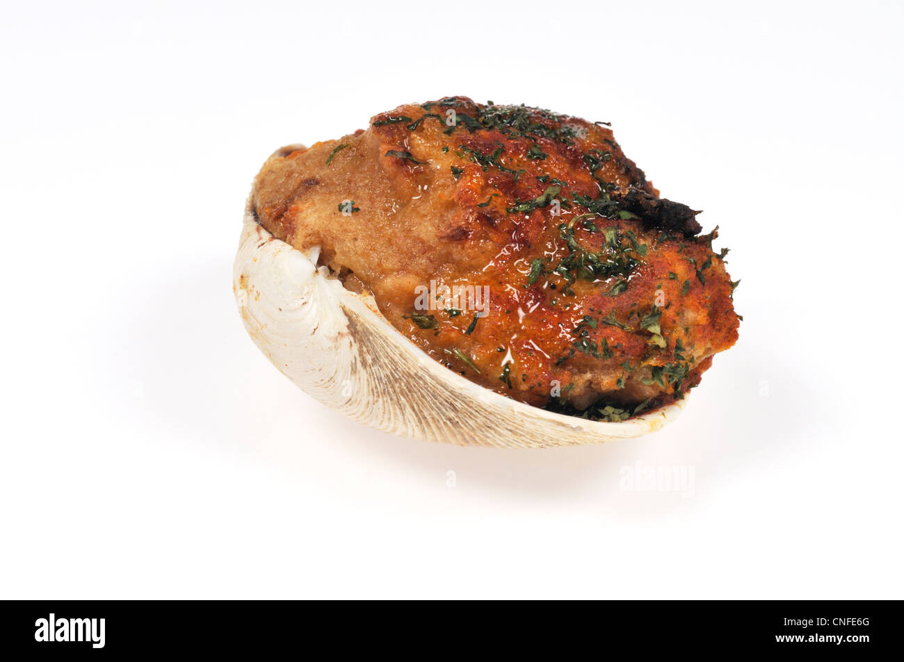 Farcite Cape Cod clam Foto Stock