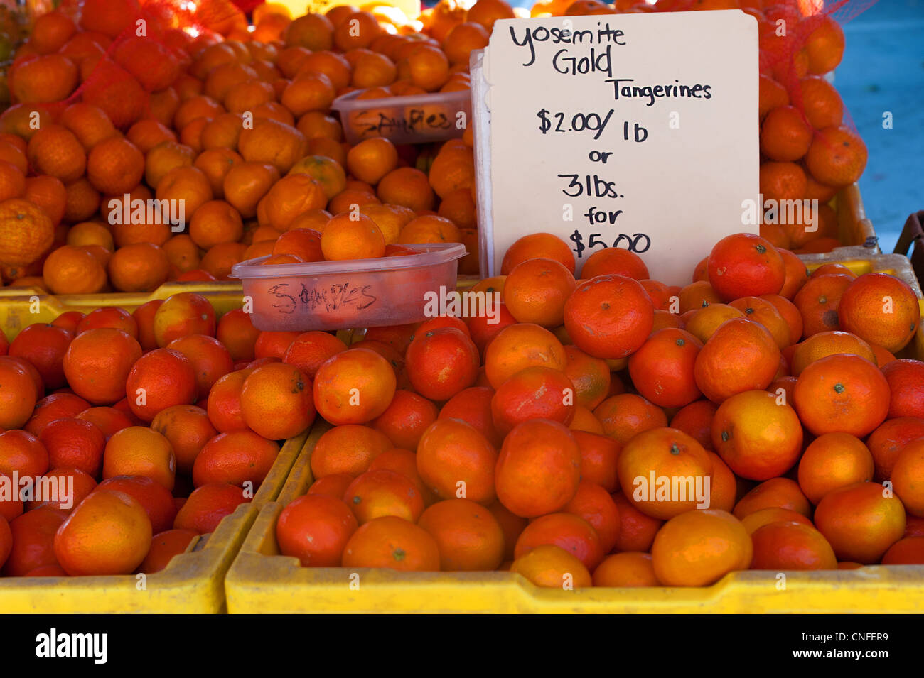 Il parco nazionale di Yosemite gold tangerini in vendita presso il mercato degli agricoltori a Santa Barbara in California Foto Stock