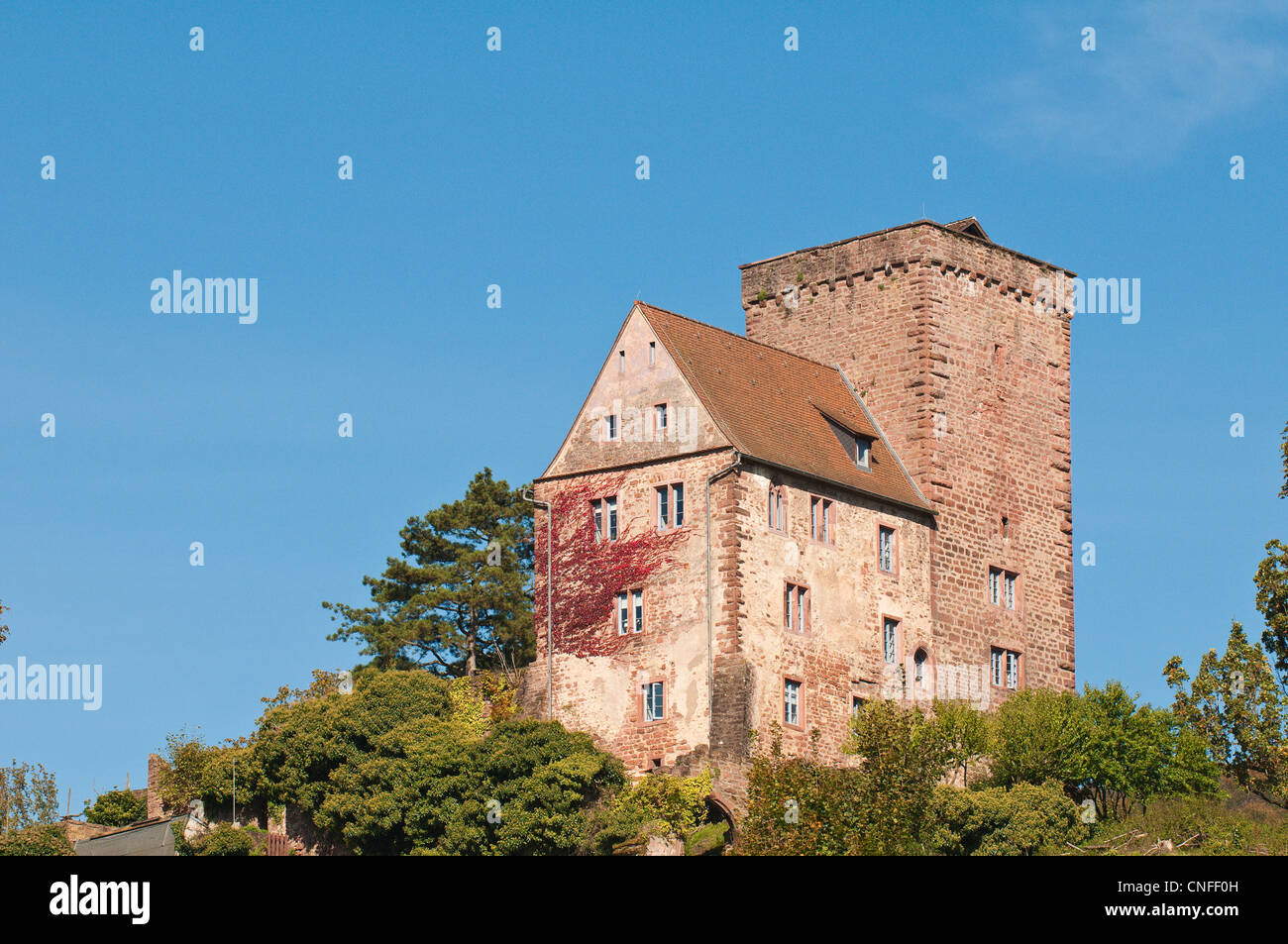 Vorderburg castello sulla collina sopra Neckarsteinach, Germania. Foto Stock