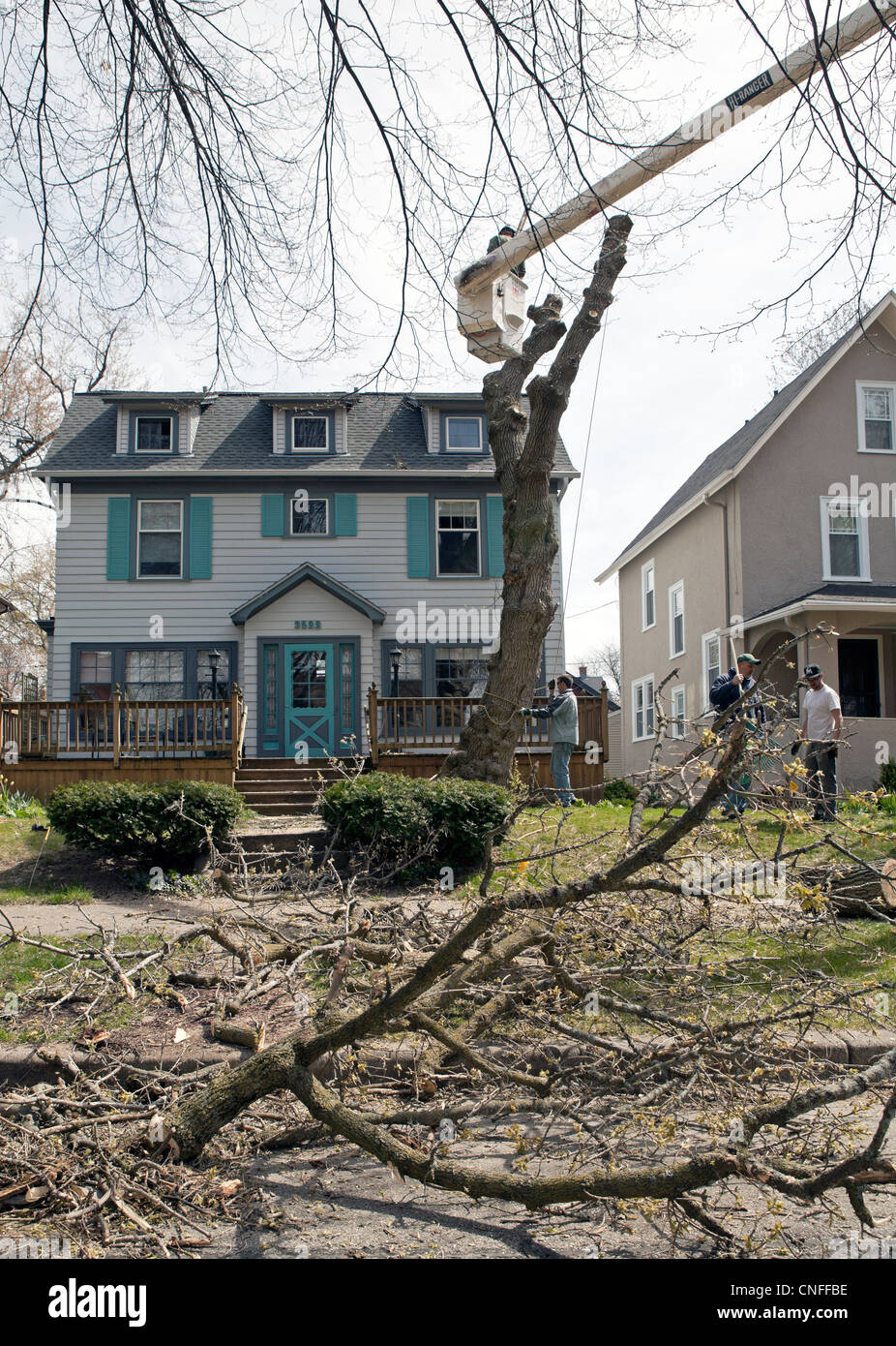 Un albero è tagliata in un cortile anteriore di una residenza negli Stati Uniti. Foto Stock