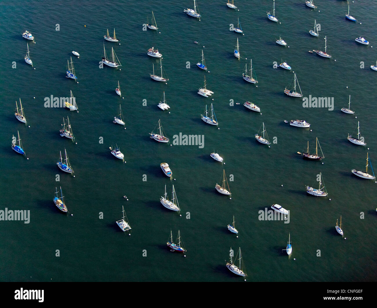 Fotografia aerea barche ancorate baia di San Diego, California Foto Stock