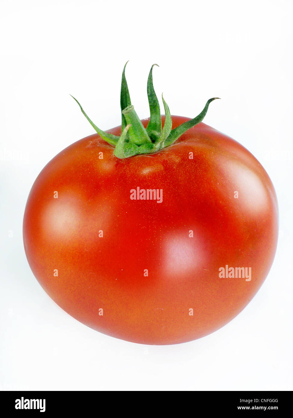 Freschi pomodori rossi su sfondo bianco Foto Stock