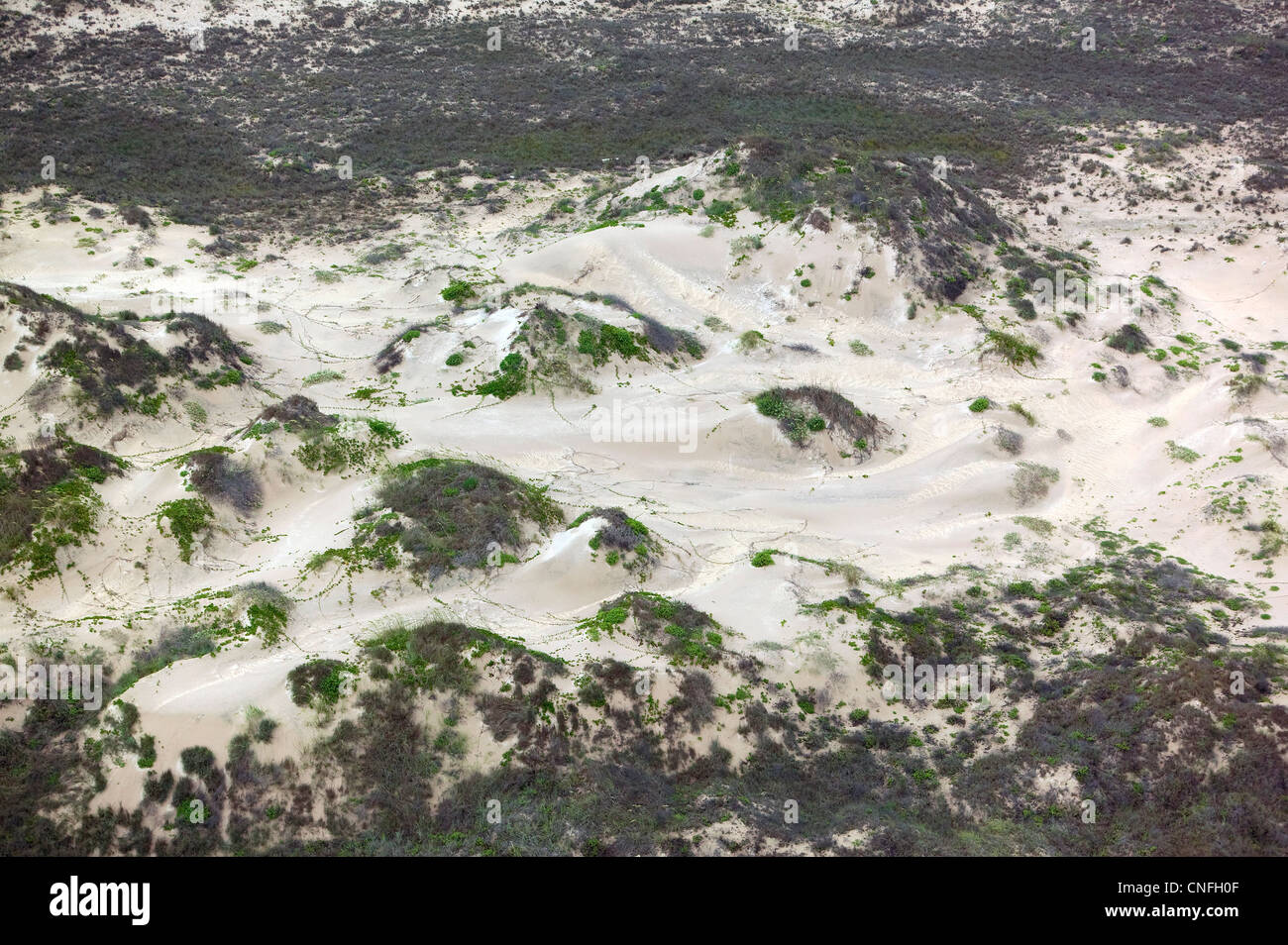 Fotografia aerea dune Padre Island Texas Foto Stock