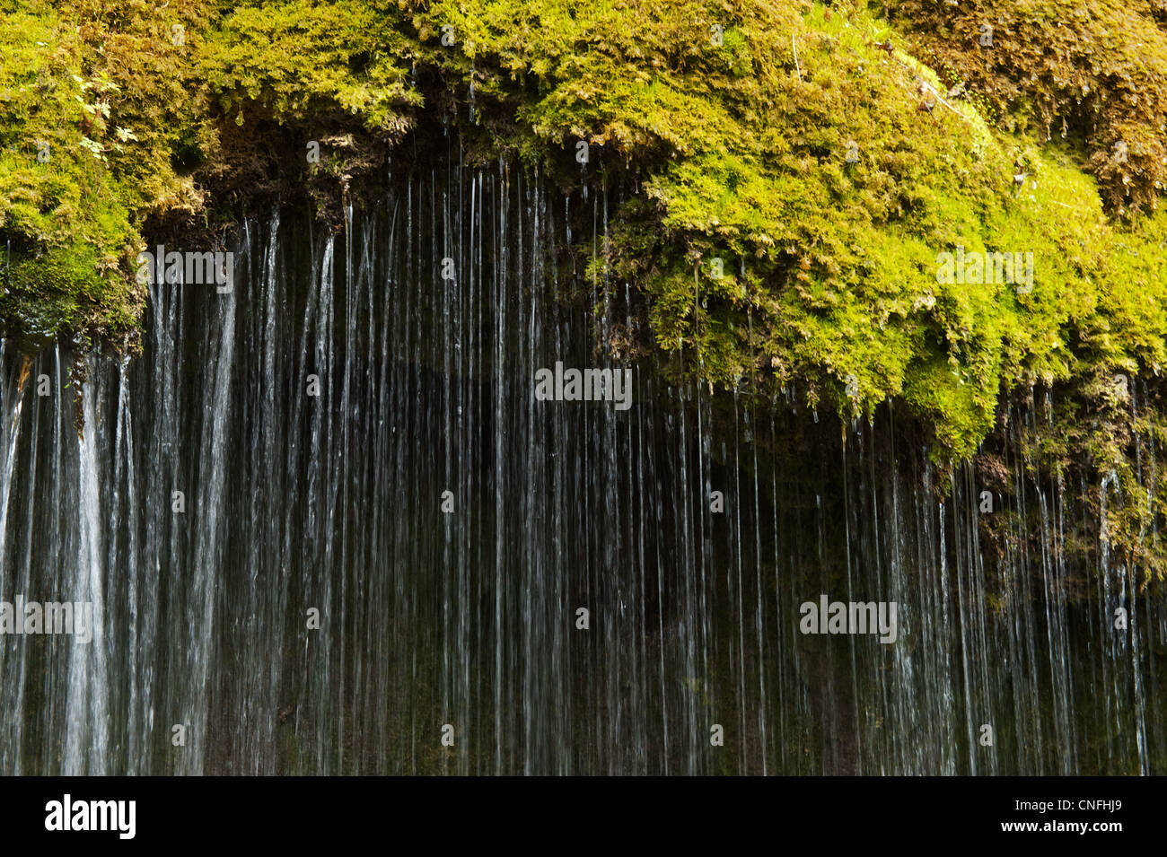 L'acqua cade come una tenda da una battuta coperti di muschio Foto Stock