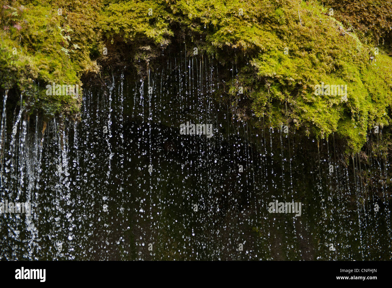 L'acqua cade come una tenda da una battuta coperti di muschio Foto Stock