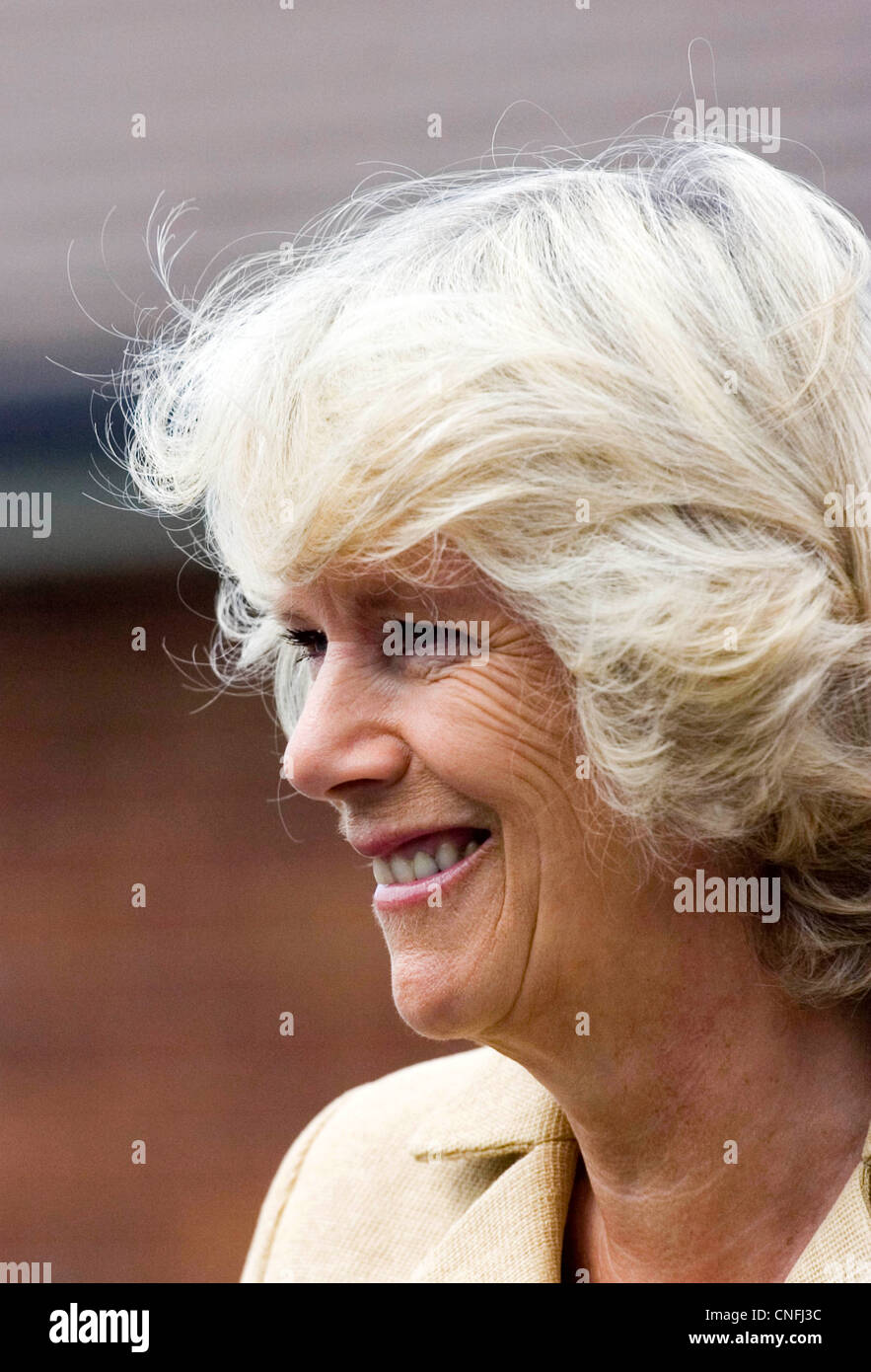 Camilla, la duchessa di Cornovaglia durante una visita reale di Ystradgynlais. Foto Stock