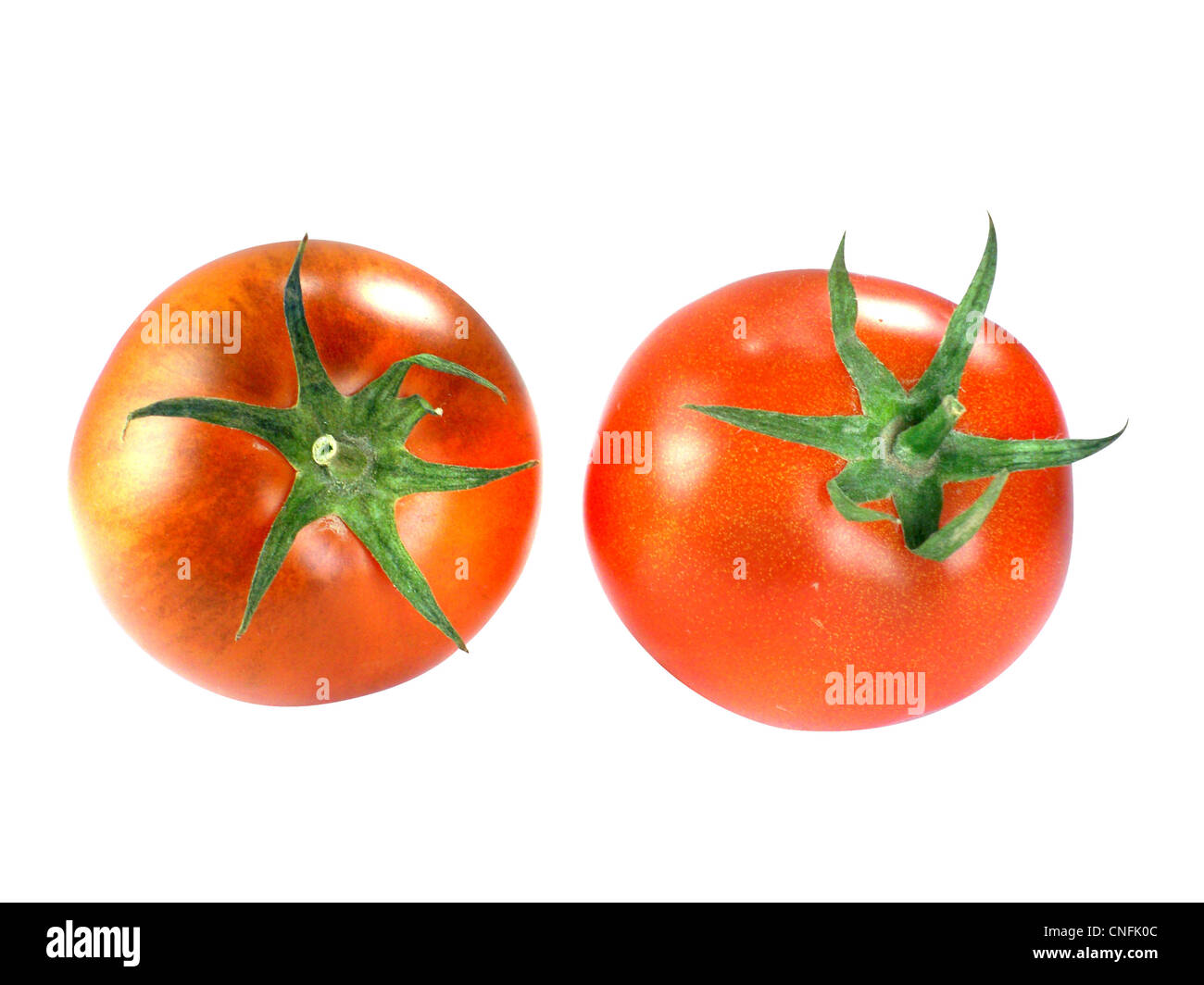 Freschi pomodori rossi su sfondo bianco Foto Stock