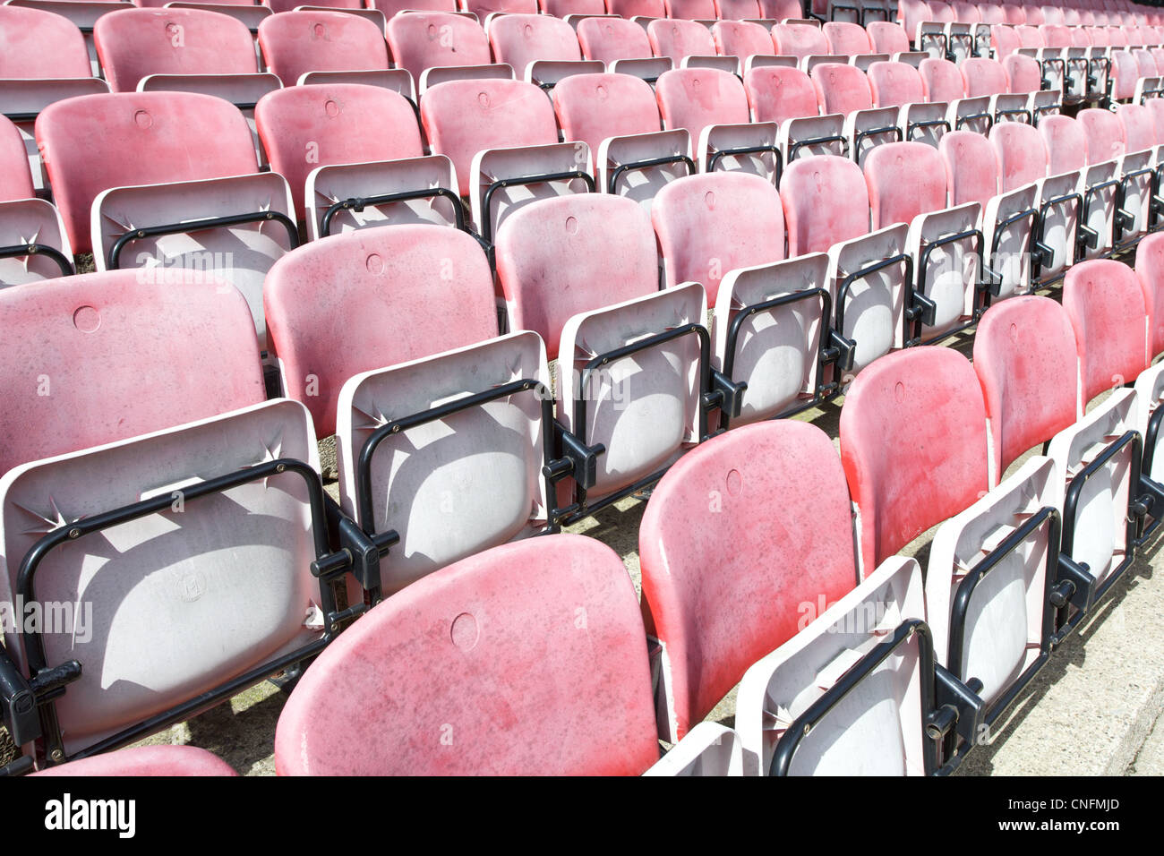 Dalymount Park football Stadium di Dublino, Irlanda. Foto Stock