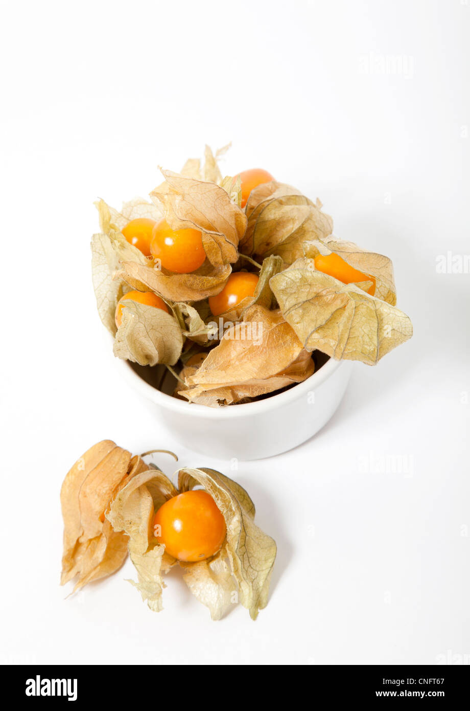 Ribes del capo Foto Stock