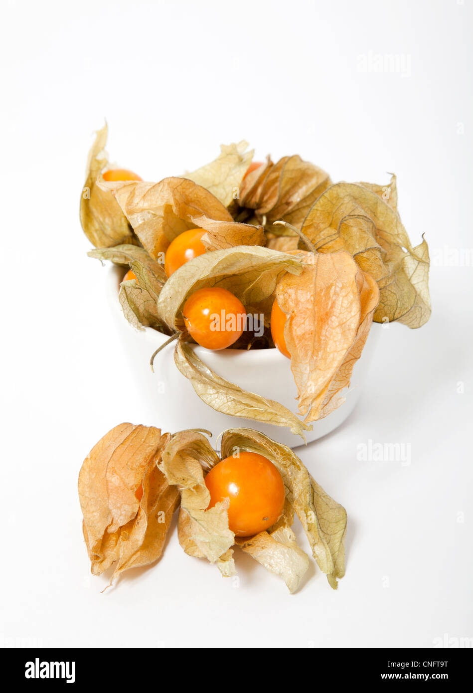 Ribes del capo Foto Stock