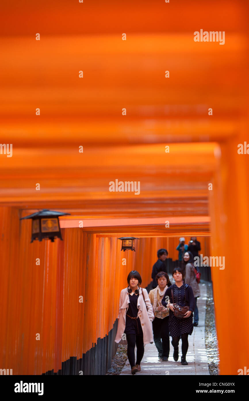 Il tunnel e il percorso di red torii porte che conduce al Santuario interno a Fushimi Inari Taisha, in Inari, nei pressi di Kyoto, Giappone. Foto Stock