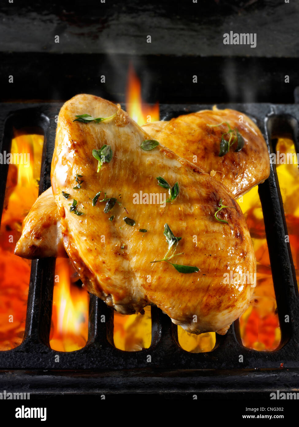 Filetti di pollo cottura su un barbecue. Cibo foto, foto e immagini. Foto Stock