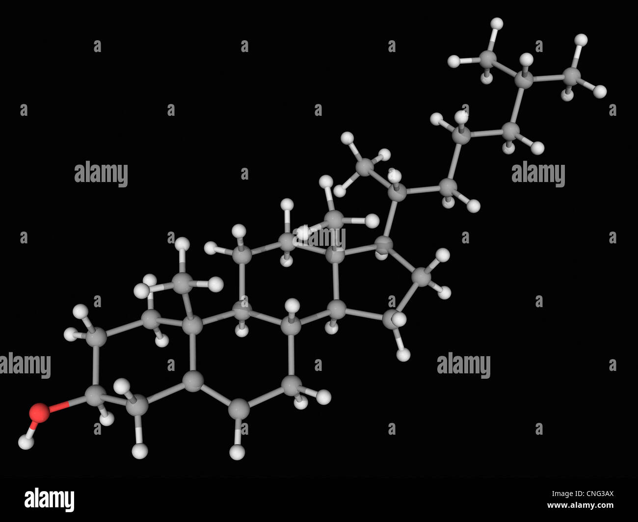 Molecola di colesterolo Foto Stock