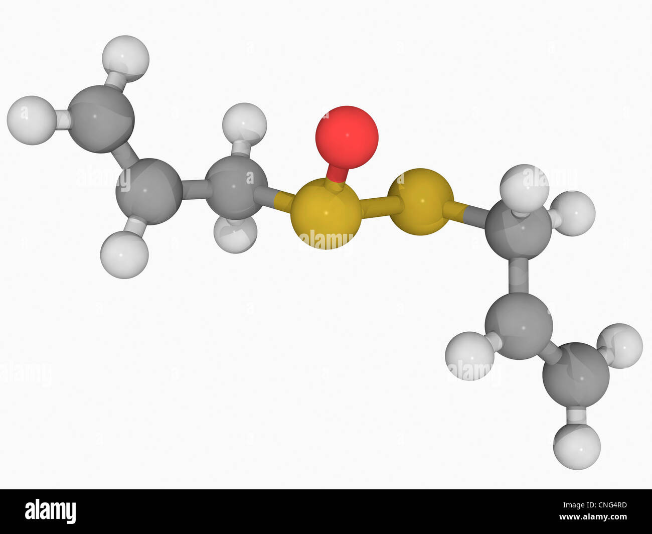 Molecola Allicin Foto Stock
