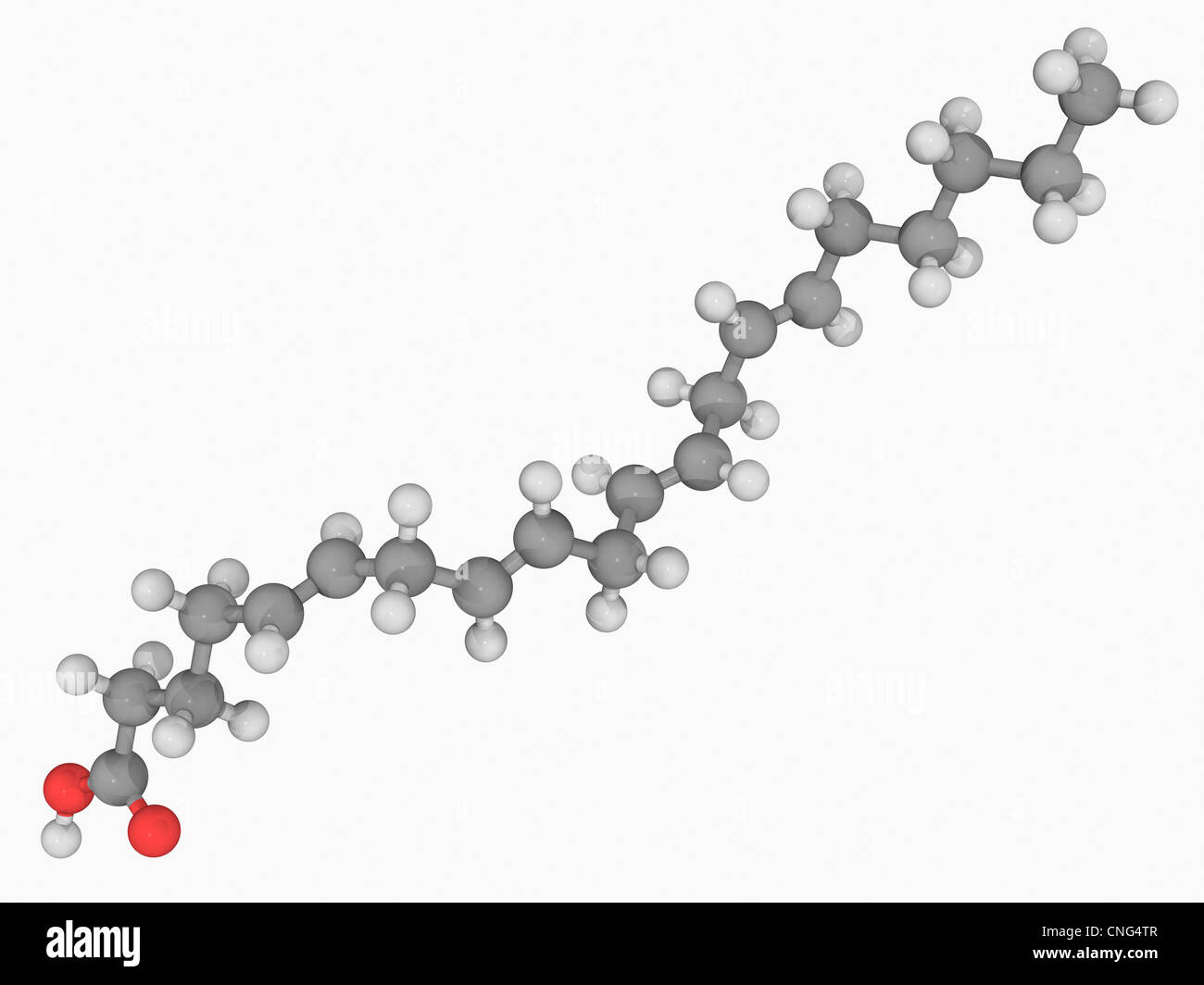 Acido arachidonico molecola Foto Stock