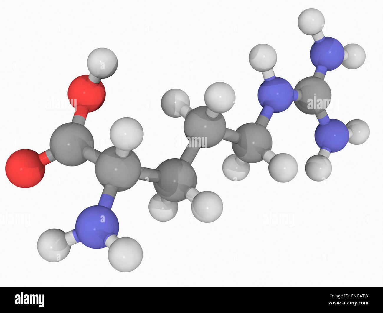 Molecola di arginina Foto Stock