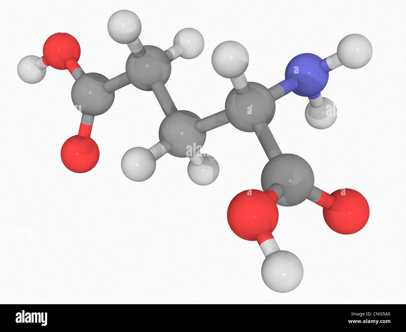 Acido glutammico molecola Foto Stock