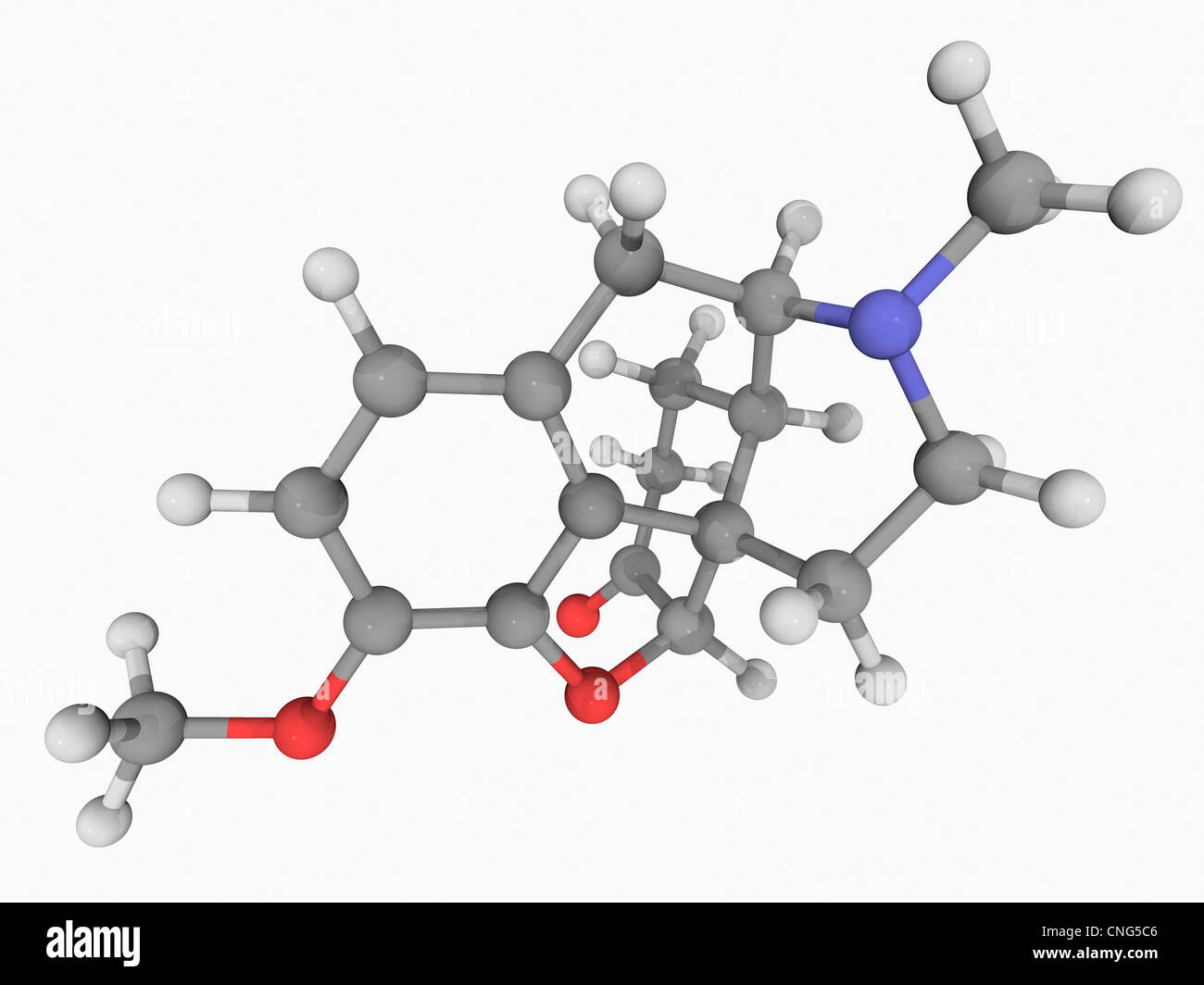 L'idrocodone molecola di farmaco Foto Stock