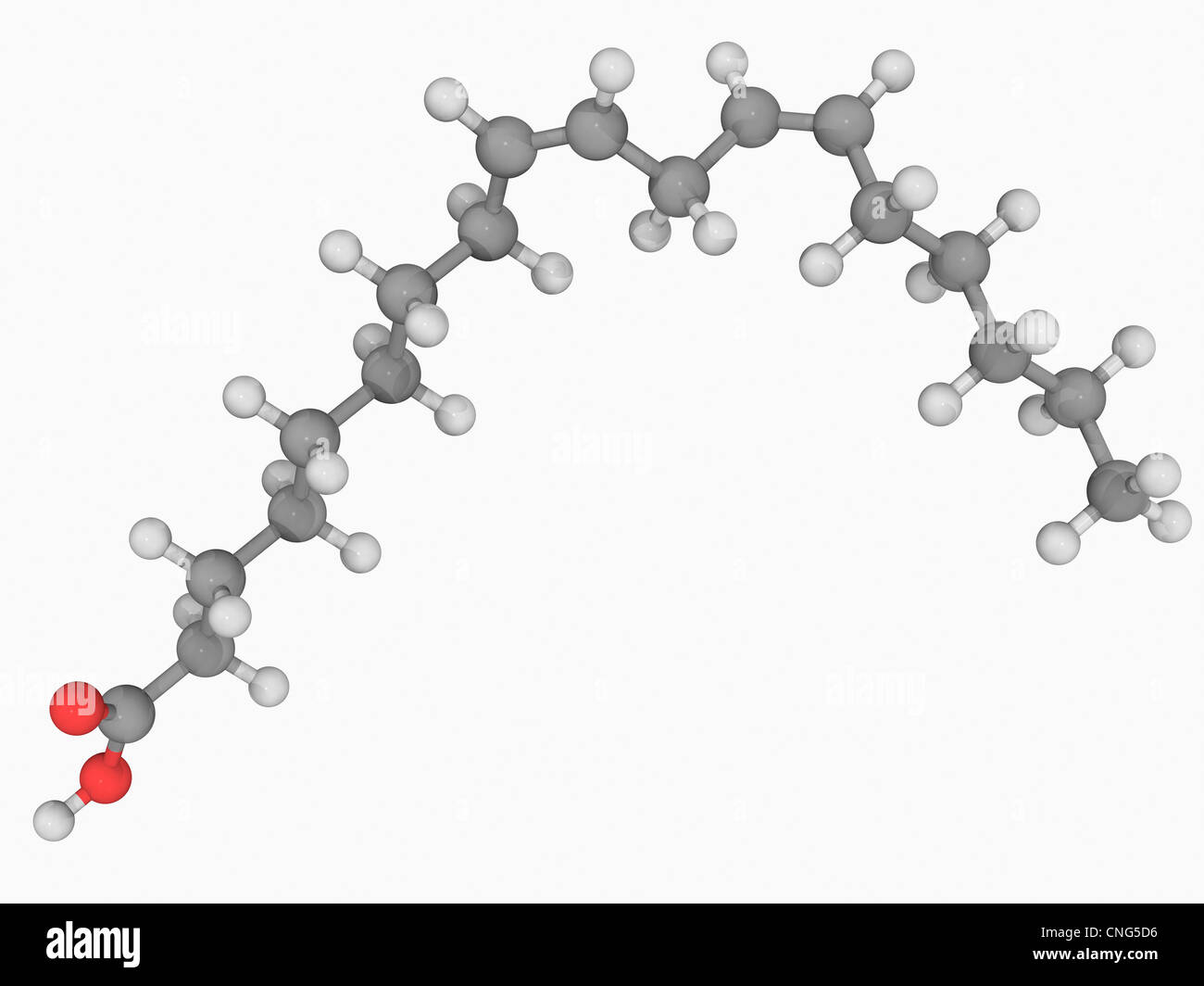 Acido linoleico molecola Foto Stock