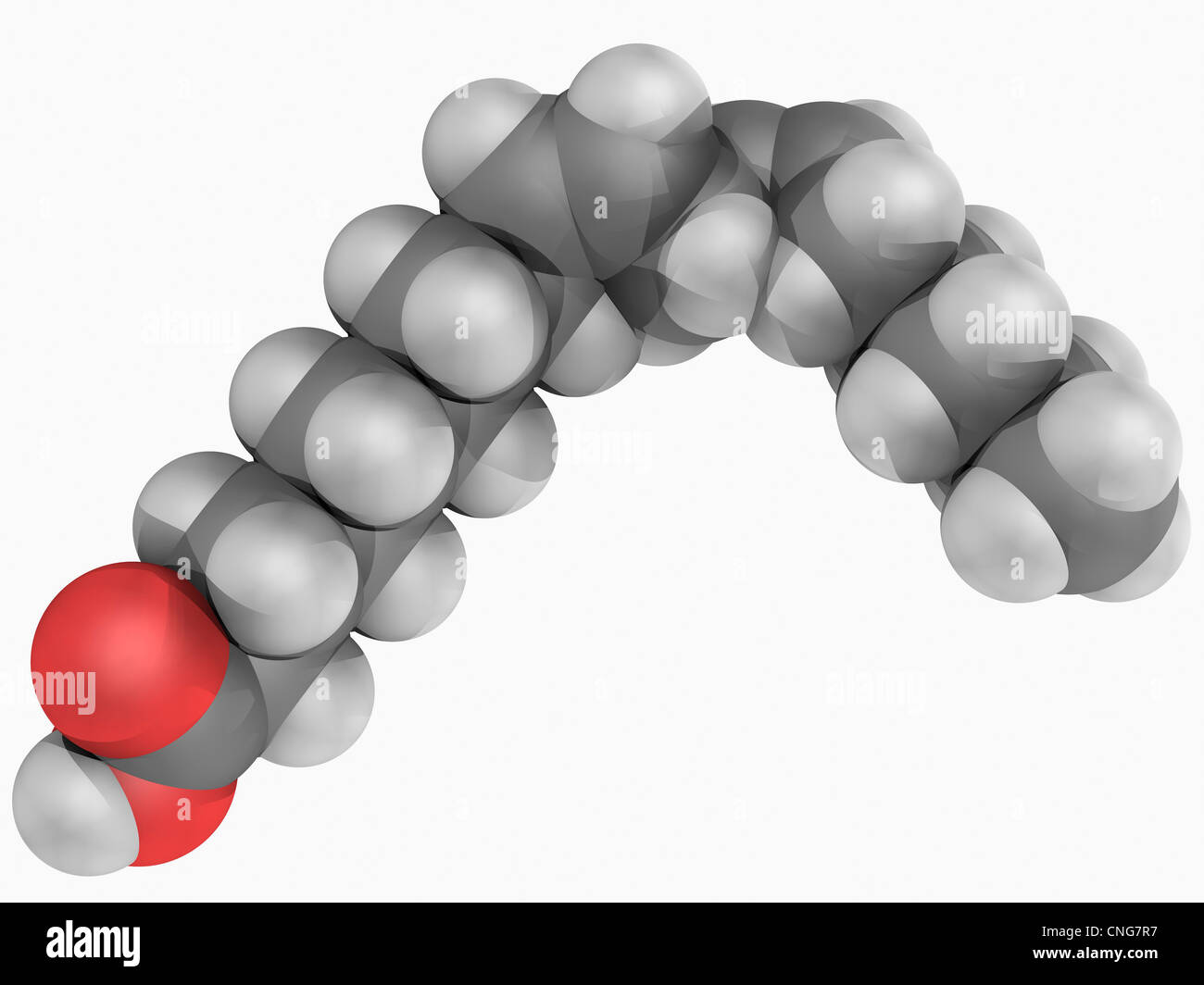 Acido linoleico molecola Foto Stock
