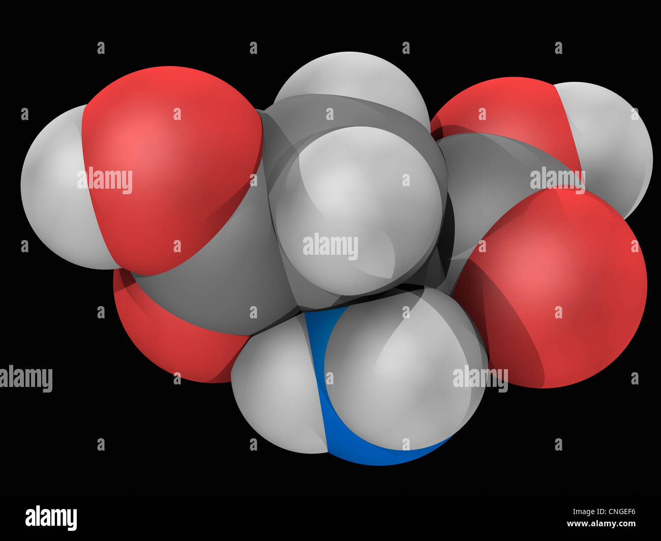 Molecola di acido aspartico Foto Stock