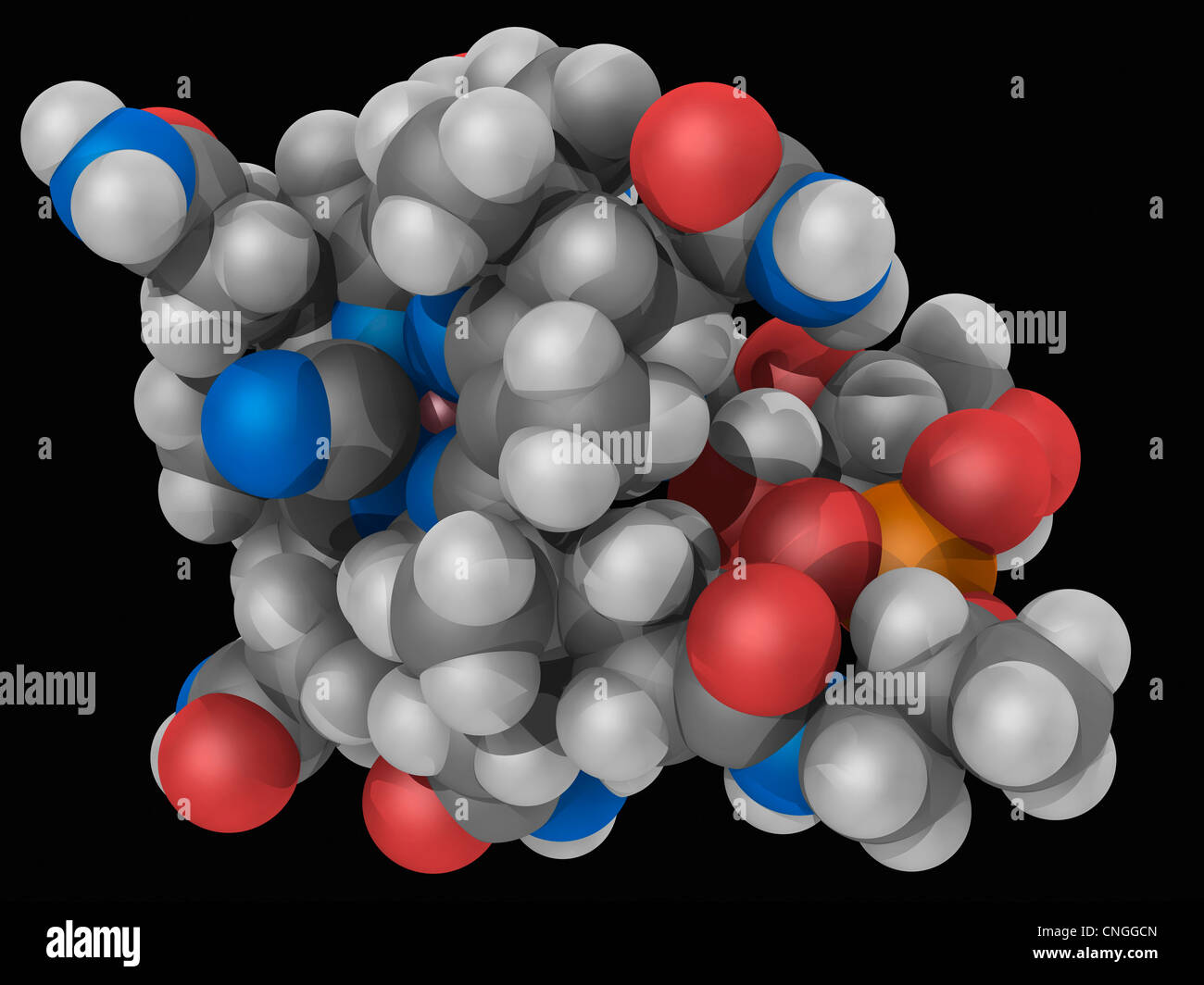 La vitamina B12 (cobalamina) molecola Foto Stock