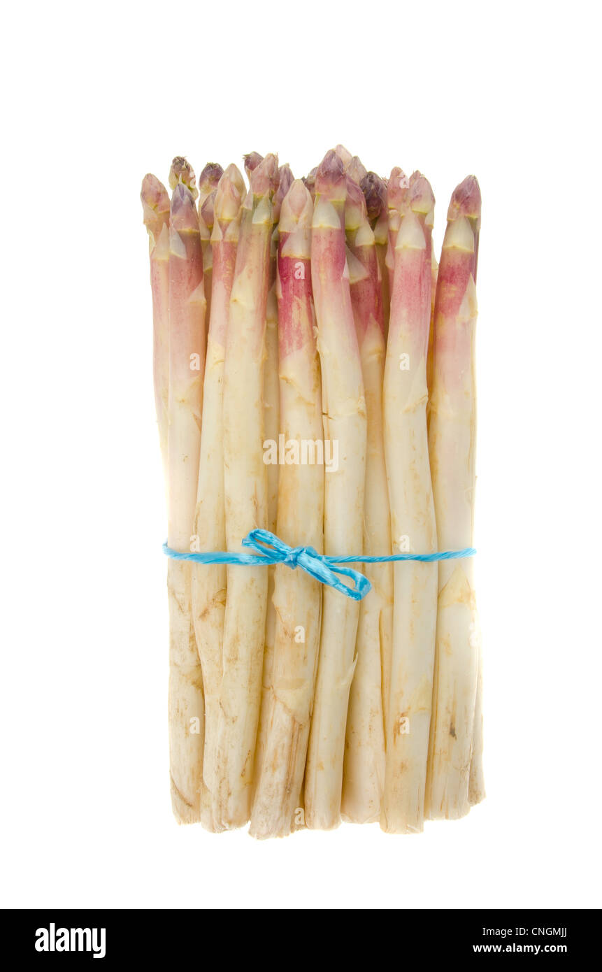 Mazzetto di asparagi bianchi con punte viola isolato su uno sfondo bianco. Foto Stock