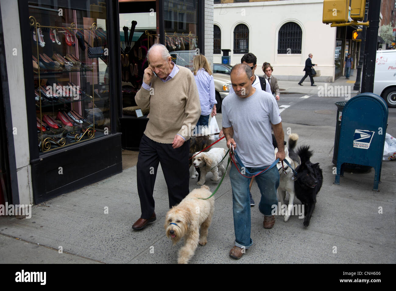 Dog walker lungo la Lexington Avenue sulla upper east side di Manhattan, New York. Foto Stock