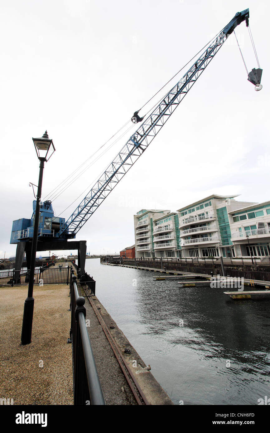 Cardiff Docks - Gru mobile rivitalizzati dockland ora supporta il nuovo business Foto Stock