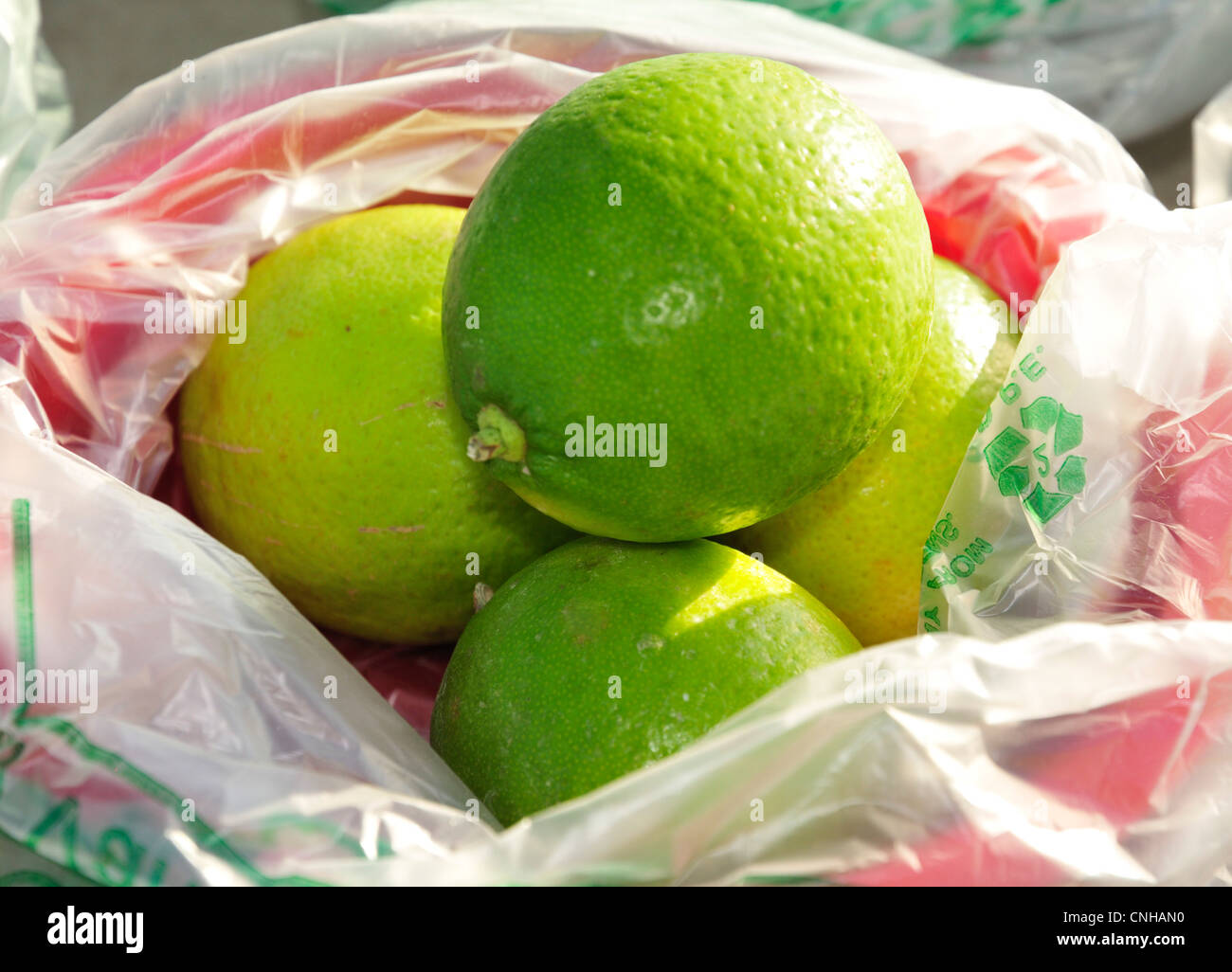 Limette di grandi dimensioni in un cesto di frutta Foto Stock