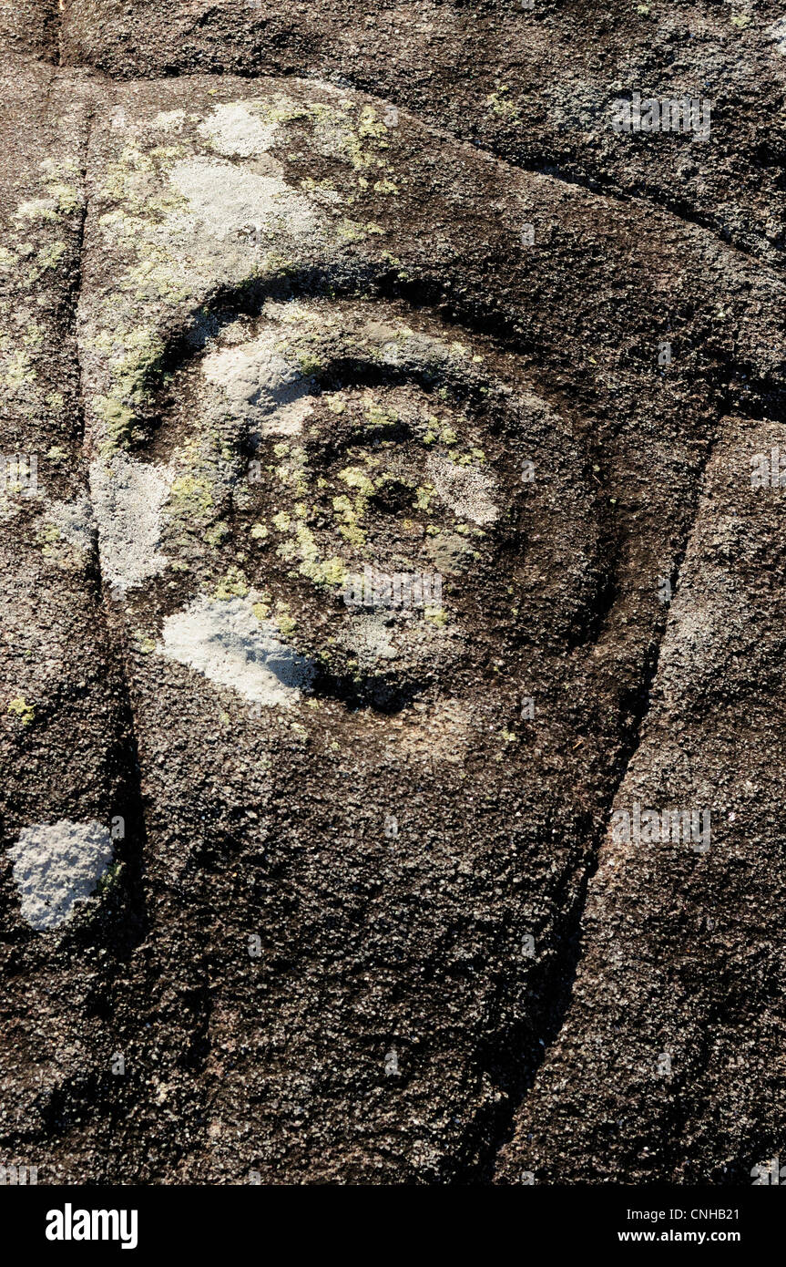 Antica arte rupestre glifi. La Galizia, Spagna. Foto Stock