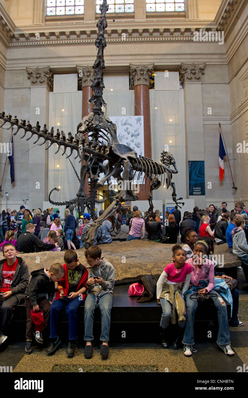 Il Museo Americano di Storia Naturale lobby con i bambini delle scuole e di altri visitatori, New York New York Foto Stock