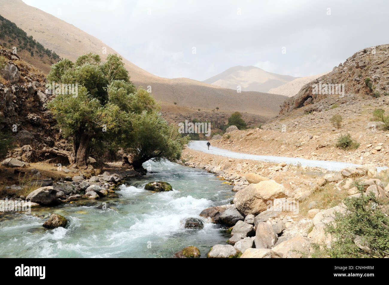 Il fiume Mukus che scorre sotto le montagne di Zagros vicino al villaggio curdo di Behcesaray, nella regione sud-orientale dell'Anatolia della provincia di Van, Turchia. Foto Stock