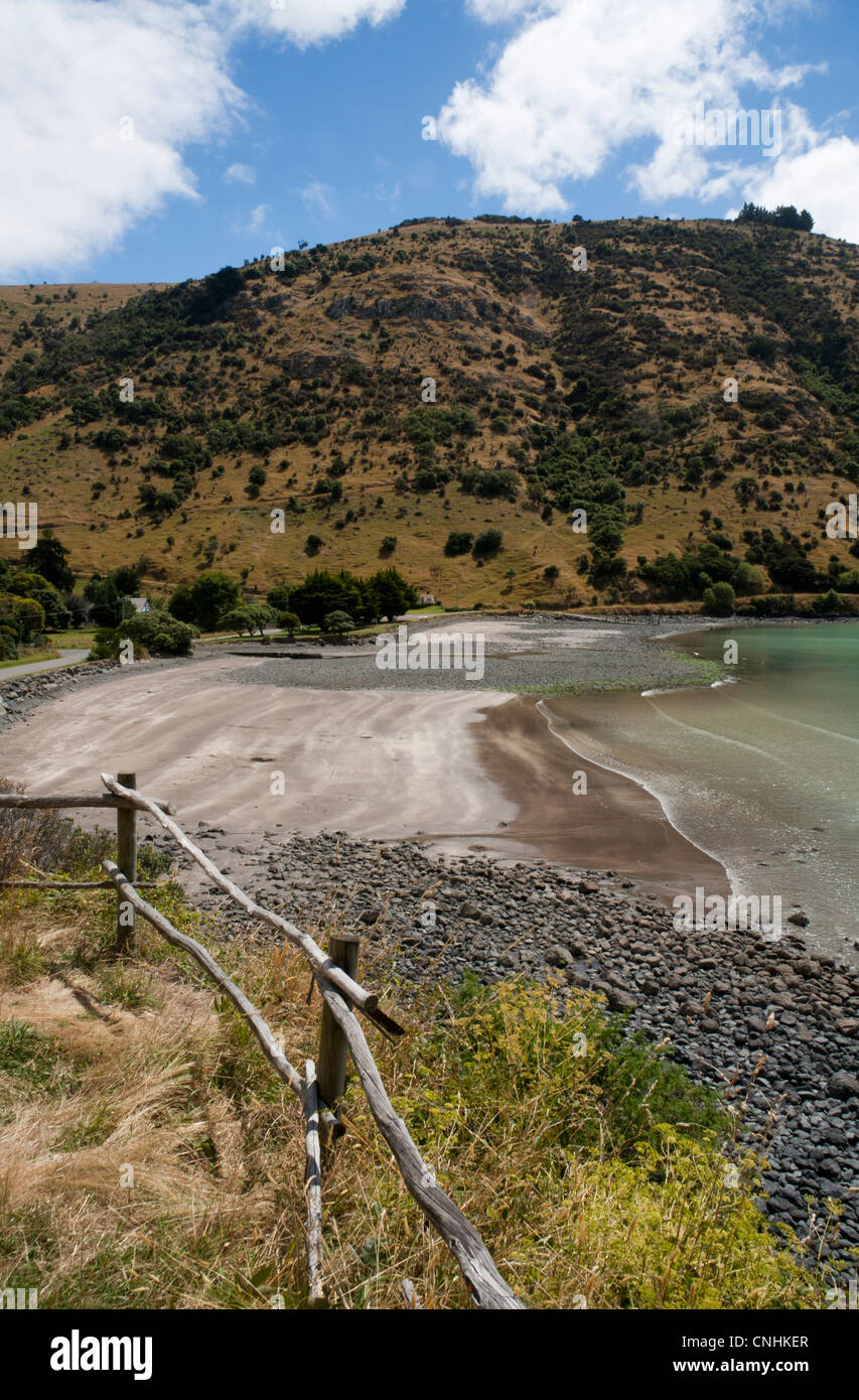 Spiaggia, poco akaloa bay, banche peninsular,South Island, in Nuova Zelanda Foto Stock