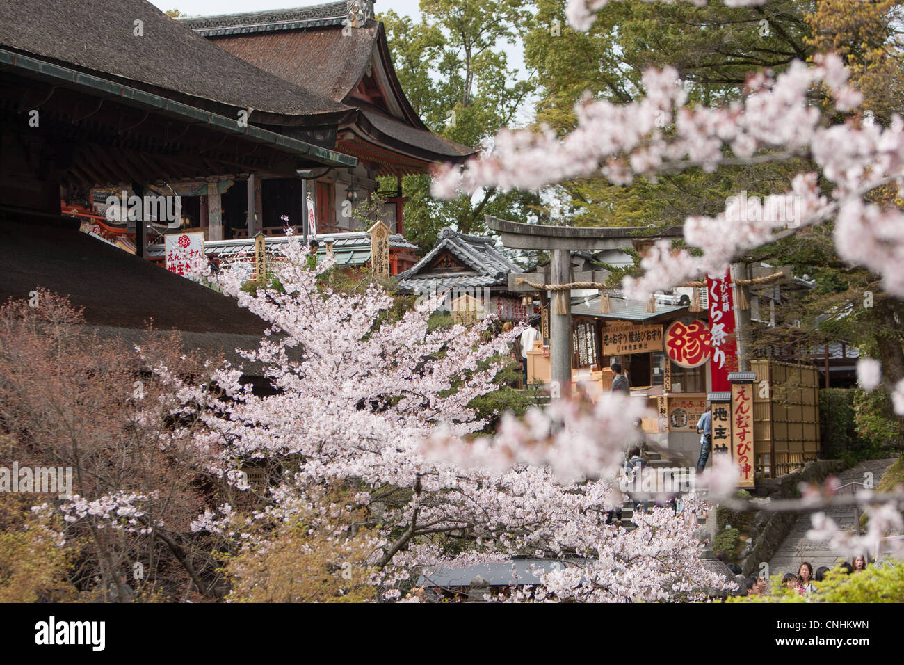 Jishu Jinja santuario di Kiyomizu Dera tempio, in Higashiyama, Kyoto, la regione di Kansai, isola di Honshu, Giappone. Foto Stock